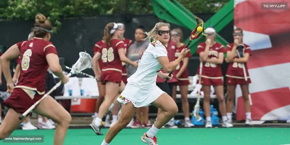 行业领先的理由